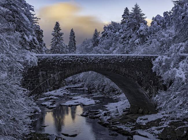 Highlands Bridge Rob Darby