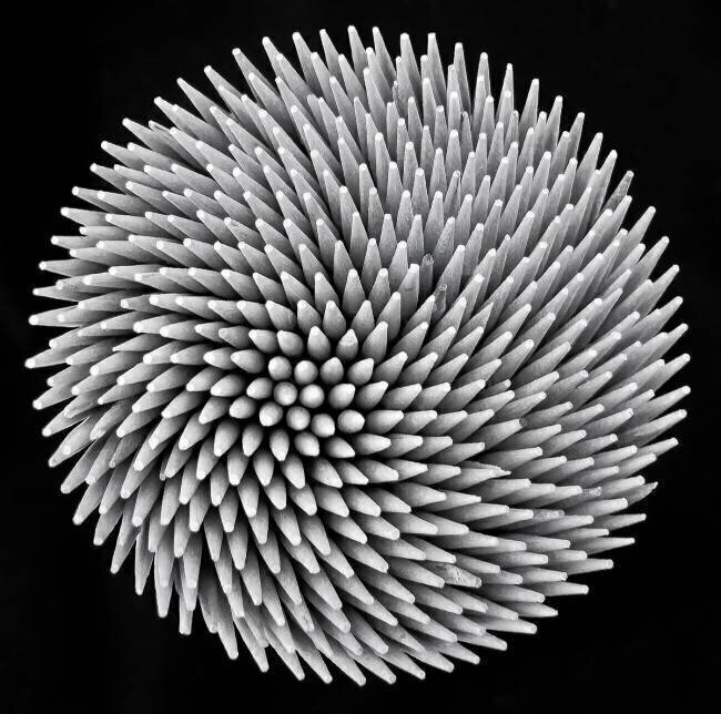 Hypnosis Giorgio Toniolo