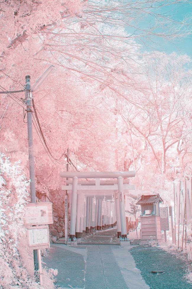 Infrared photography Yuuui