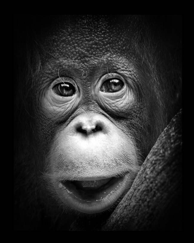 Innocent Antonyus Bunjamin (Abe)