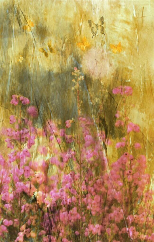 It Might as Well Be Spring Delphine Devos