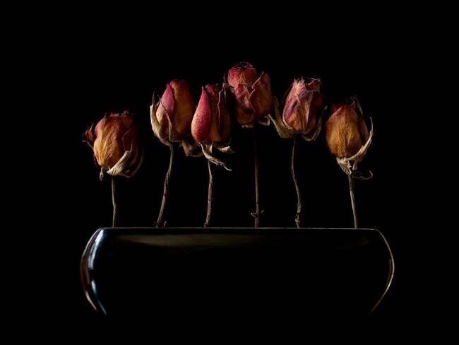 Jardin de nuit Jeffrey Hummel 