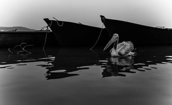 Journal du lac 2 Ummu Nisan Kandilcioglu
