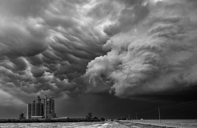 Kansas Rob Darby
