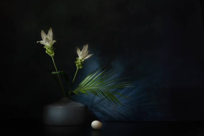 Kurkuma dream Saskia Dingemans