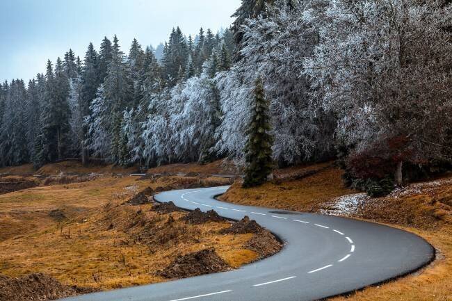 La route et les arbres gelés Visions Paralleles