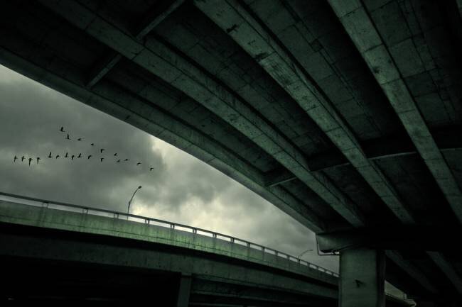 Last Flight David Senechal Photographie