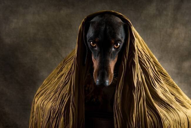 Les yeux d'or Heike Willers