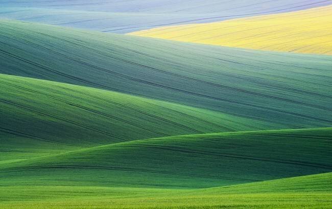 Lines Ales Komovec