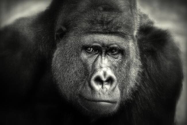 Little smile Antje Wenner-Braun