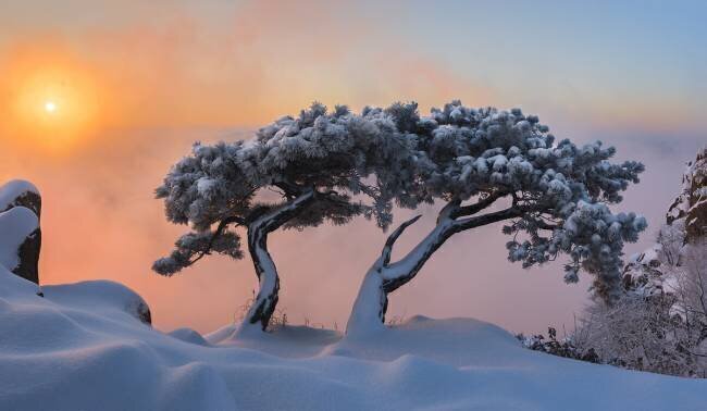 Living Together Jaeyoun Ryu