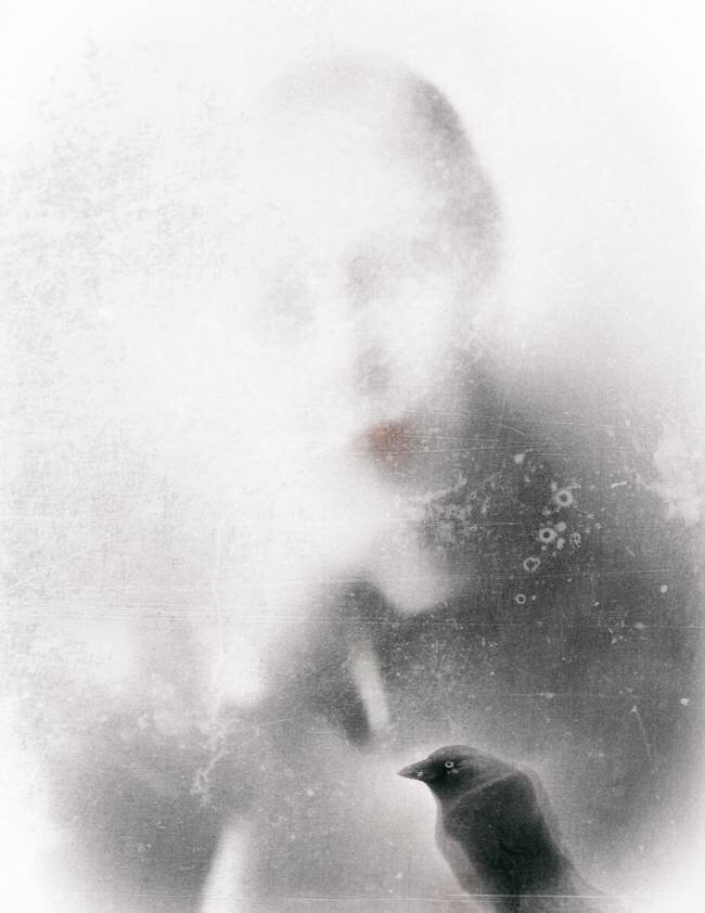 L'oiseau en colère Gilbert Claes 