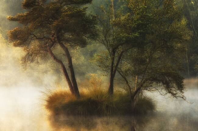 Lonely island Anton van Dongen
