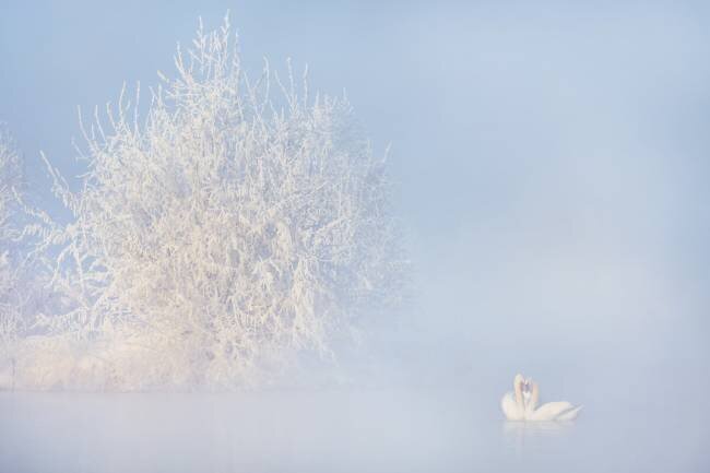 Love story in the Winter Annie Poreider