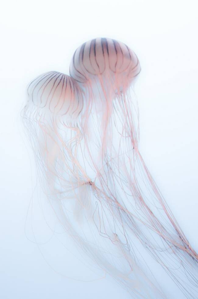 Lovers Takeshi Marumoto