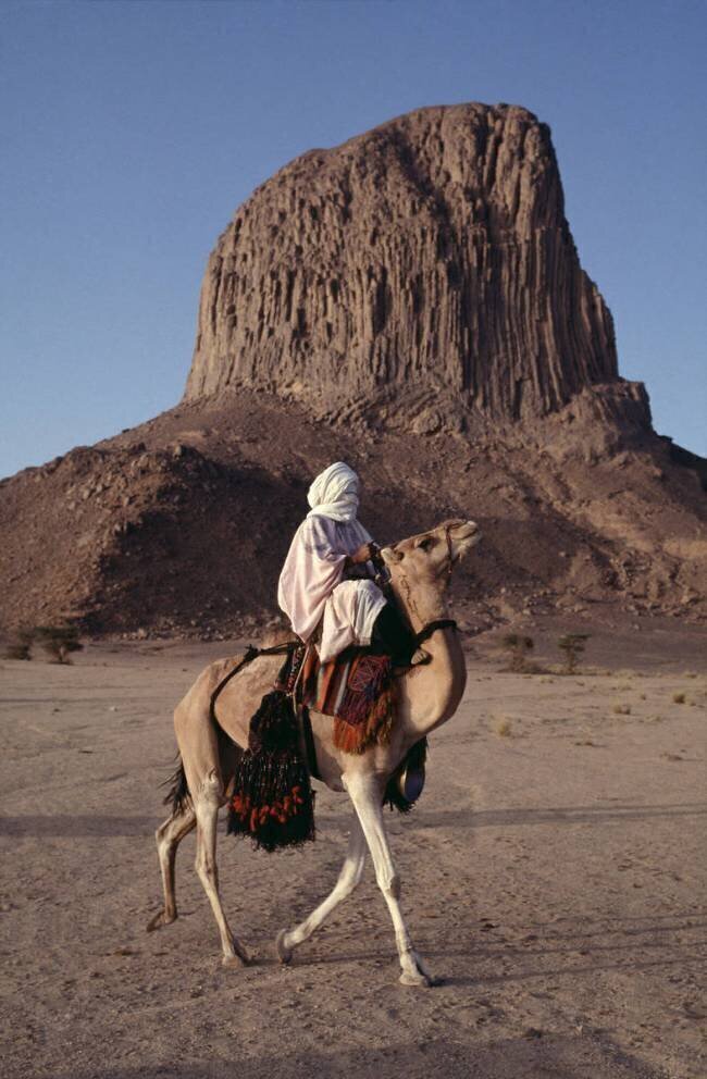 Méhariste Touareg dans le désert en Algérie Hervé Gloaguen