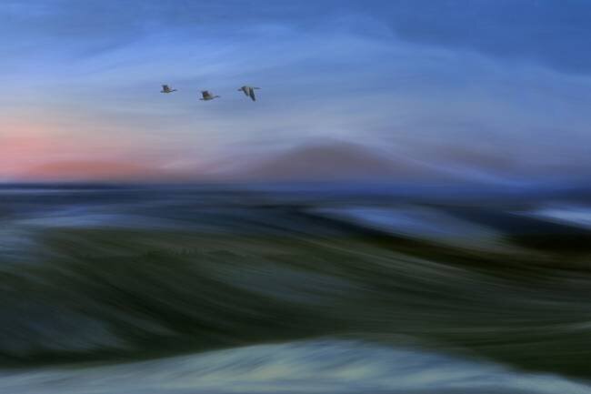 Migrants Bjorn Emanuelson