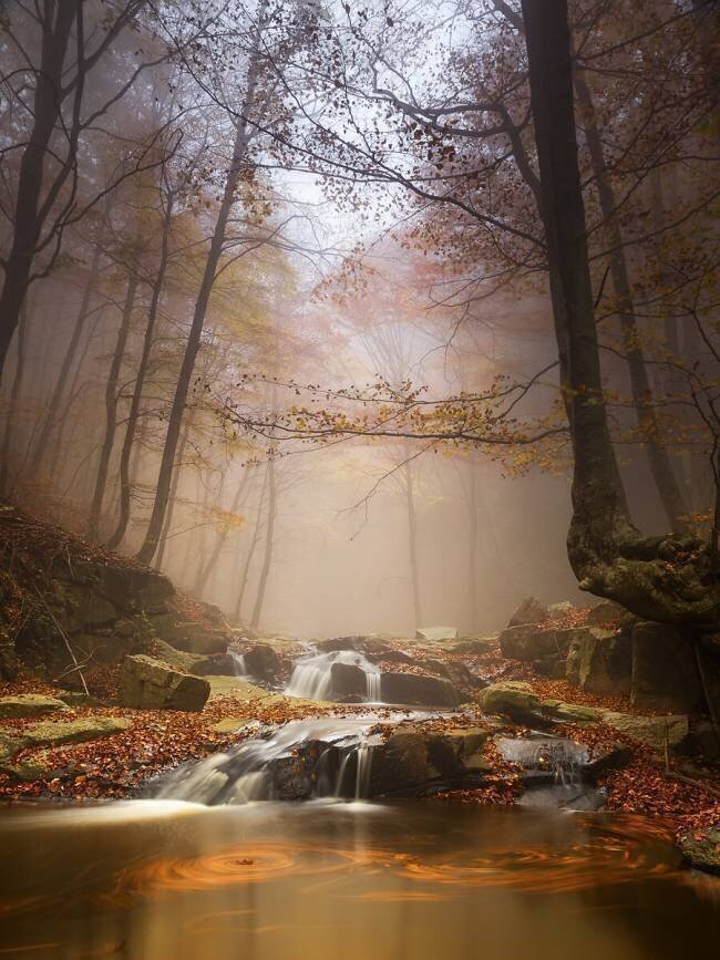 Mistyc mist Ramon Menendez Covelo