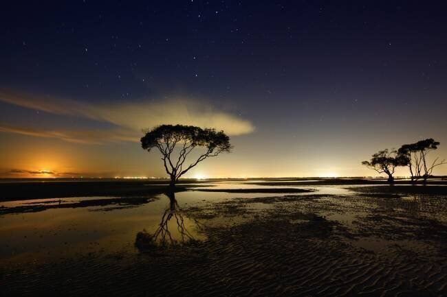 Moonrise Mel Brackstone