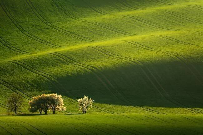 Moravian waves Daniel Řeřicha
