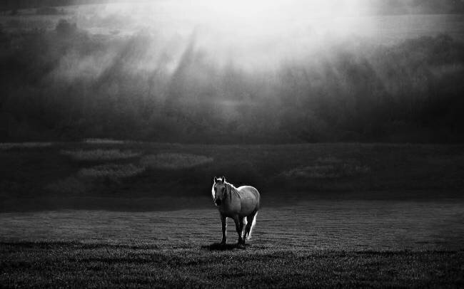 Morning appearance Peter Svoboda MQEP