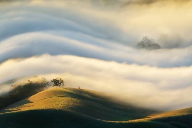 Morning fog Weilian