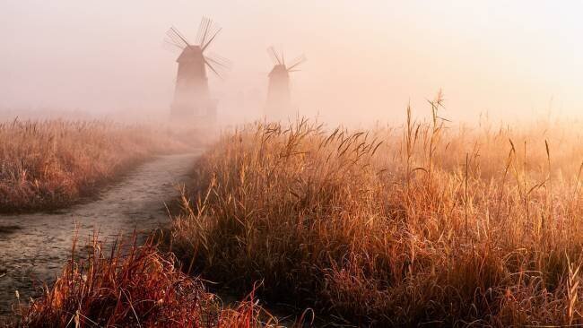 Morning mist Gwangseop Eom