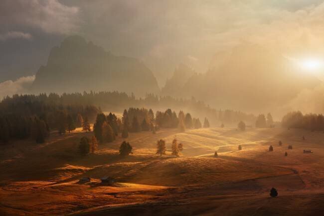 Morning on alpine meadow Daniel Řeřicha