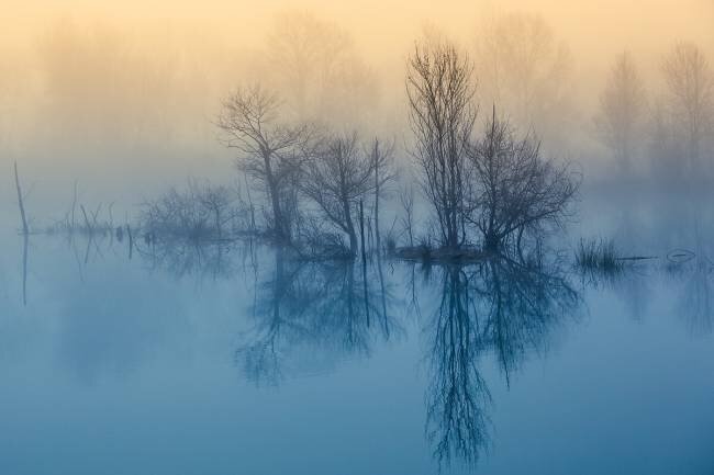 Morning reflection David Butali 