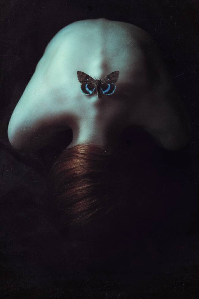 Moth Magdalena Russocka