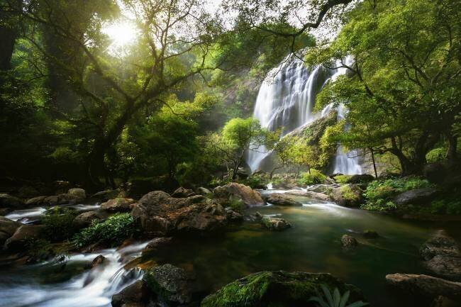 Mountain stream Patrick Foto