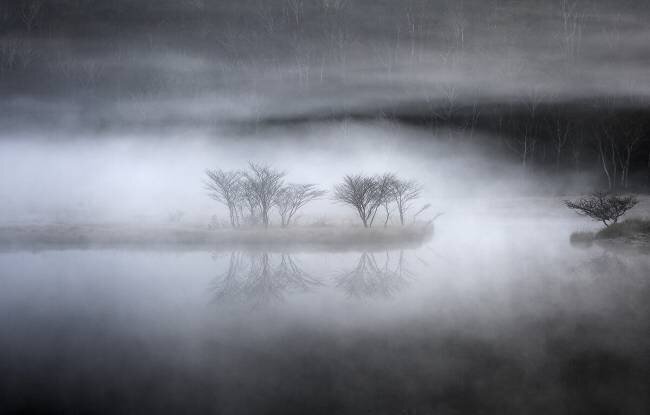 Mysterious pond Teruo Araya 