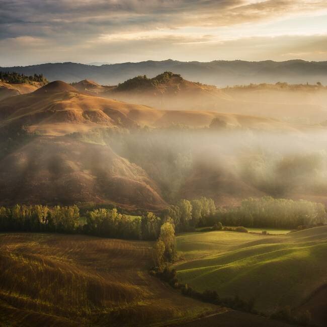Mystical Waving Fields Tuscany Jarek Pawlak