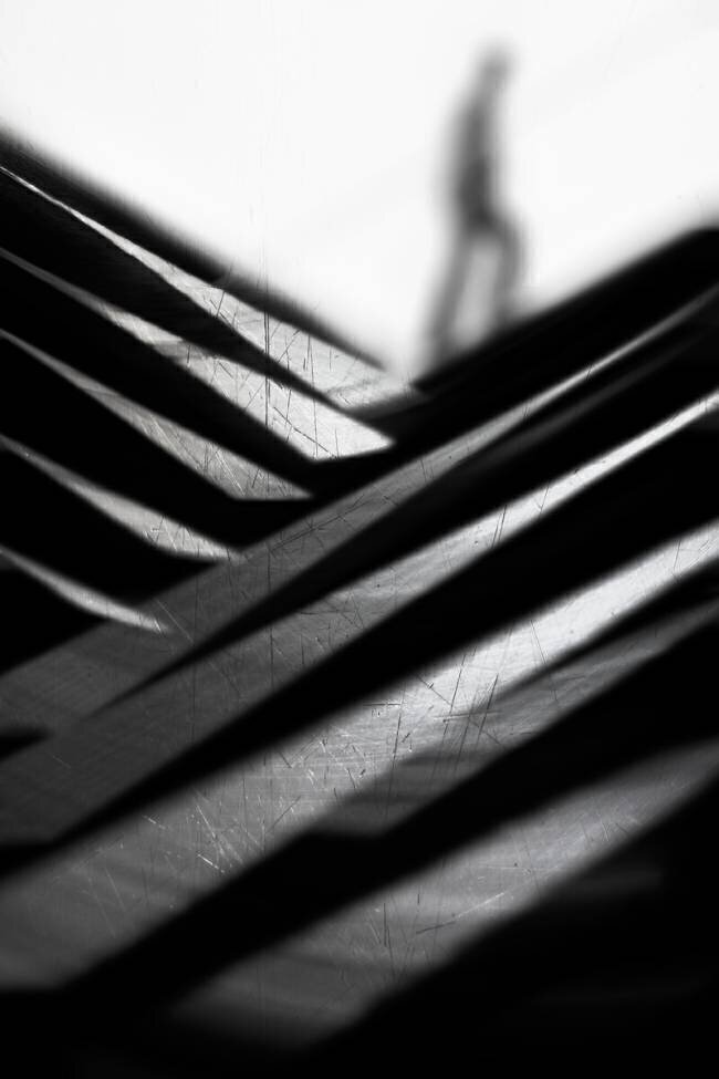 N'aller nulle part rapidement Paulo Abrantes 