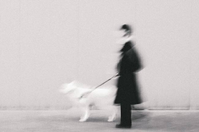 Noir en trop blanc Roberto Ruoli