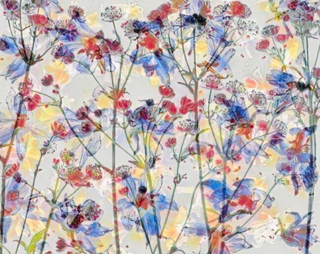 Painterly flowers Saskia Dingemans