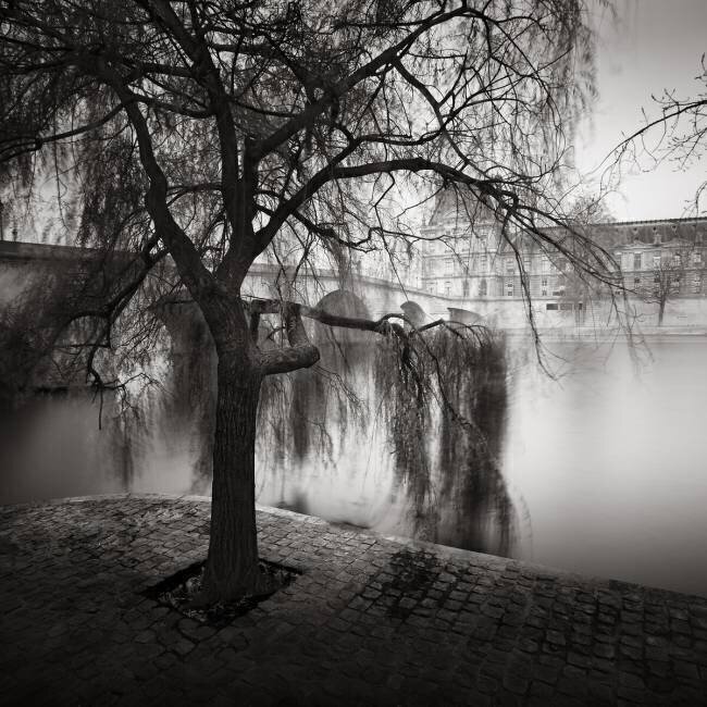 Palais Royal Ronny Behnert