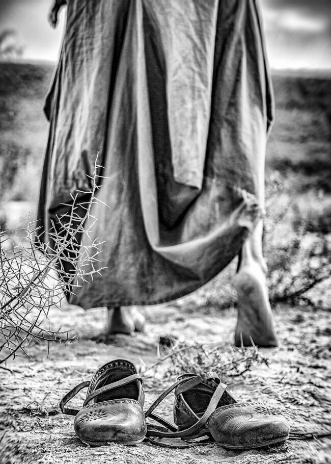 Passenger Afshin Saeidinia