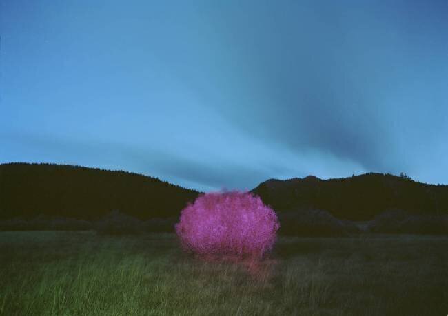 Peinture nocturne Carli Choi