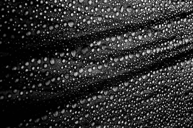 Perles de pluie de culture Simon Ciappara