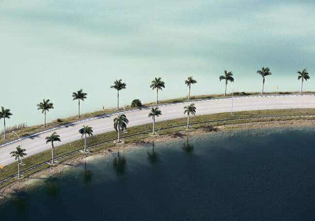 Photographie aérienne de deux étangs traversés par une route bordée de palmiers Cameron Davidson