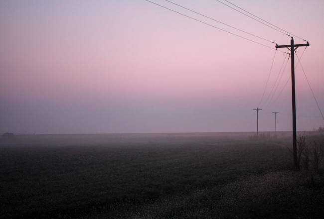 Pink Fog Candice Rae
