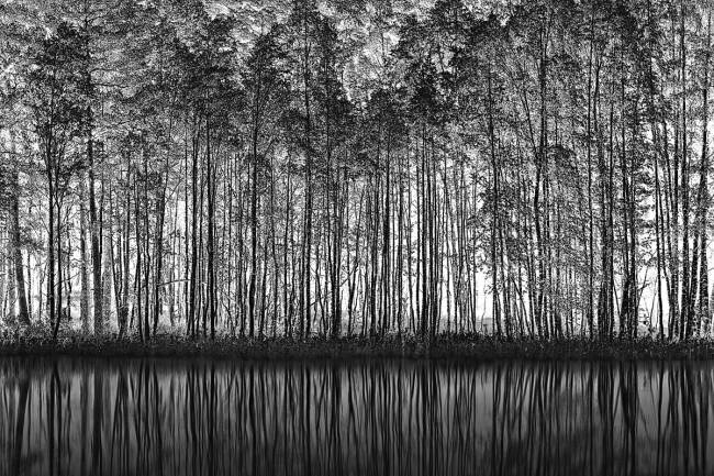 Pointillism Nature Roswitha Schleicher-Schwarz
