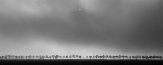 Polderlandscape Huib Limberg