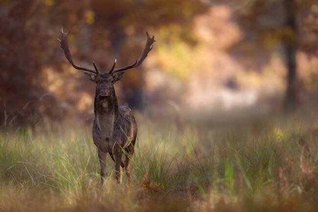 Posing Sebastian Mastahac