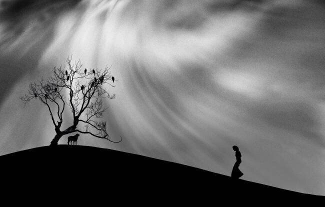 Promenade en montagne Peter Hammer