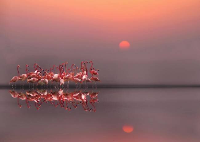 Coucher de soleil violet Anna Cseresnjes 