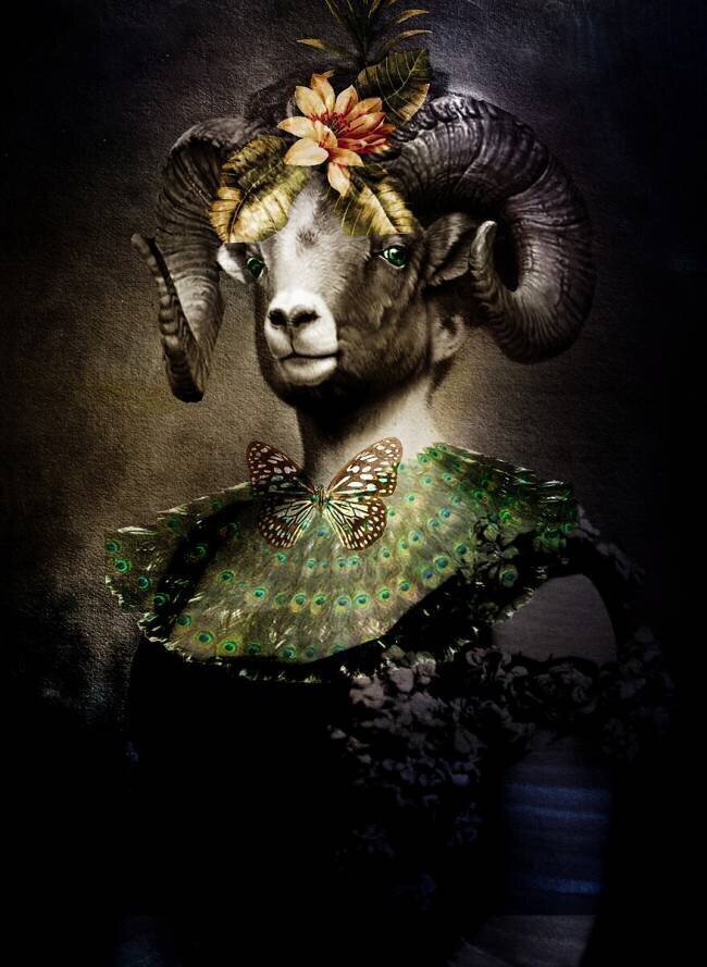 Ram Dame Enza Paoli