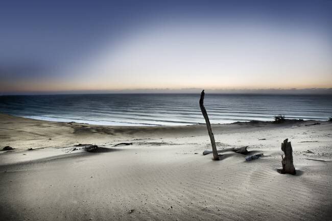 Reach for the sun Mel Brackstone