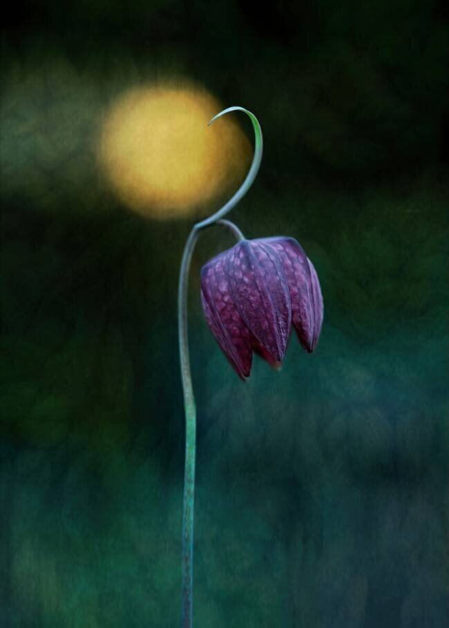 Reaching the Light Catherine W.